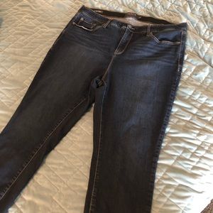 Torrid Skinny Jeans